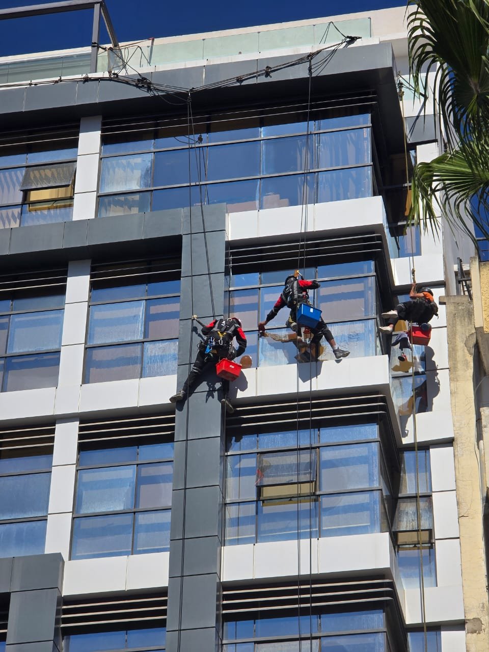 Nettoyage et maintenance de façade d'immeuble